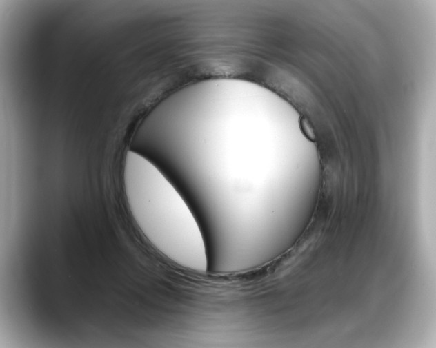 X0000088700358200705311020