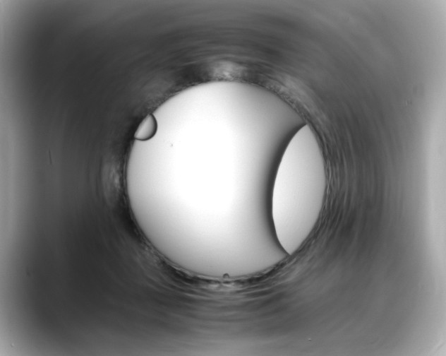 X0000088700363200705311020