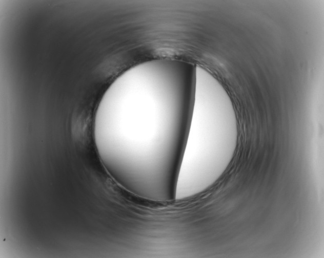 X0000088700364200705311020