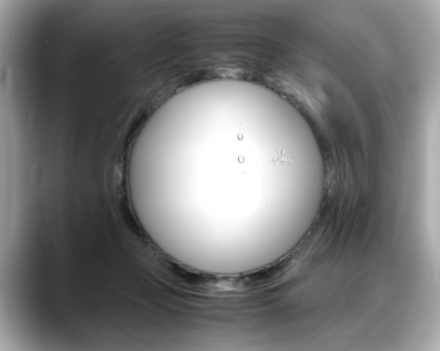 X0000088700365200705311020