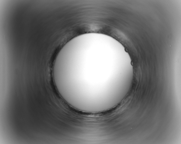 X0000088700366200705311020