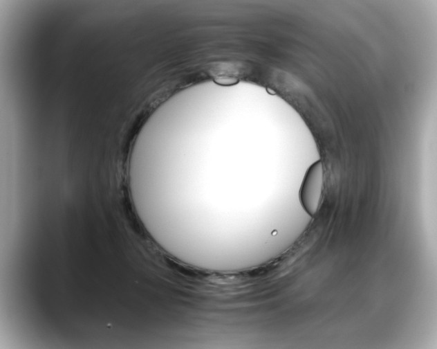 X0000088700367200705311020