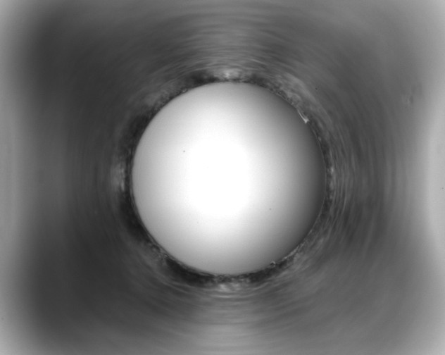 X0000088700368200705311020