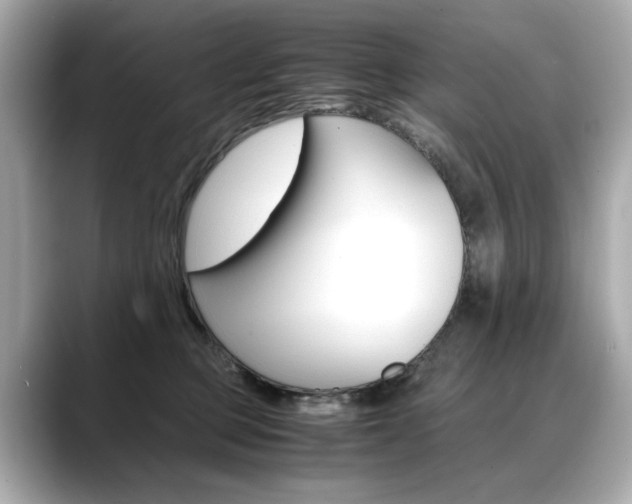 X0000088700373200705311020