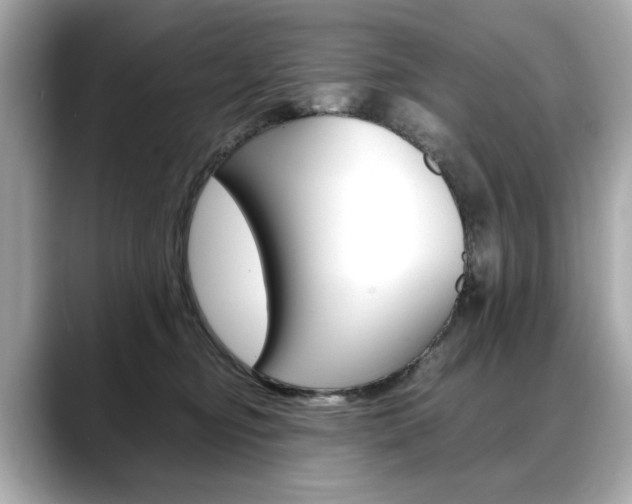 X0000088700374200705311020