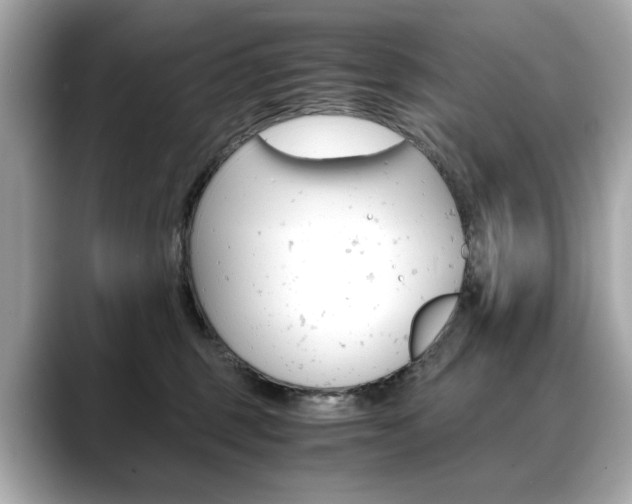X0000088700375200705311020