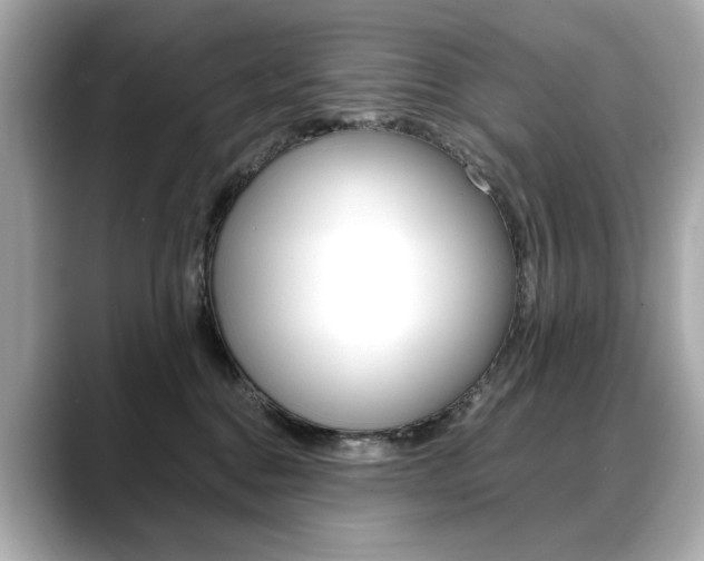 X0000088700376200705311020