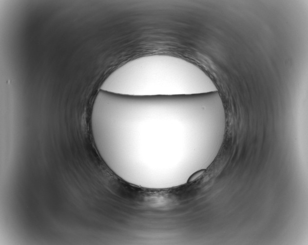 X0000088700377200705311020