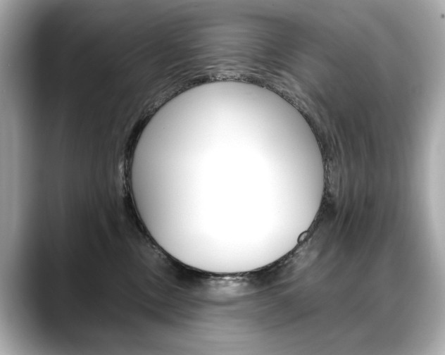 X0000088700378200705311020