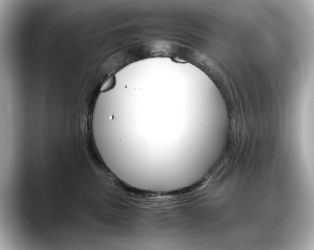 X0000088700379200705311020