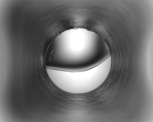 X0000088700380200705311020