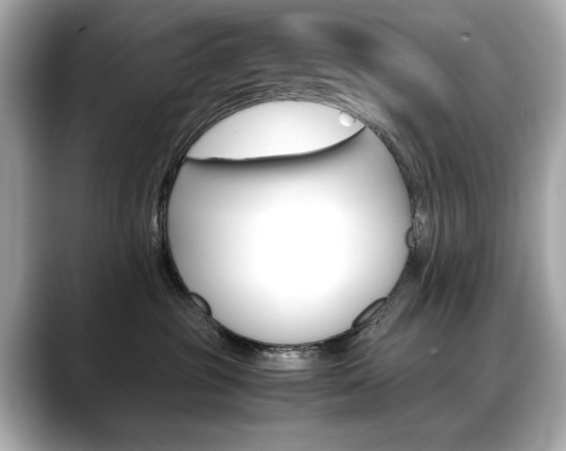 X0000088700381200705311020
