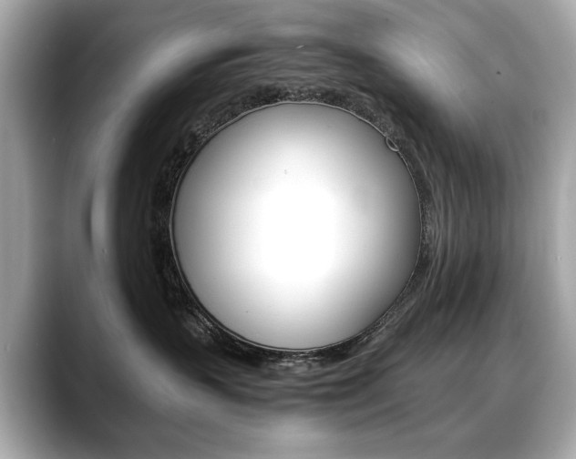 X0000088700383200705311020