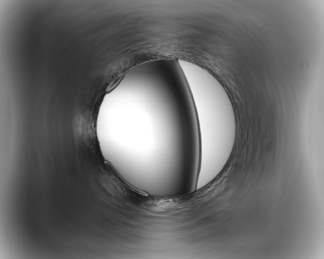 X0000088700384200705311020