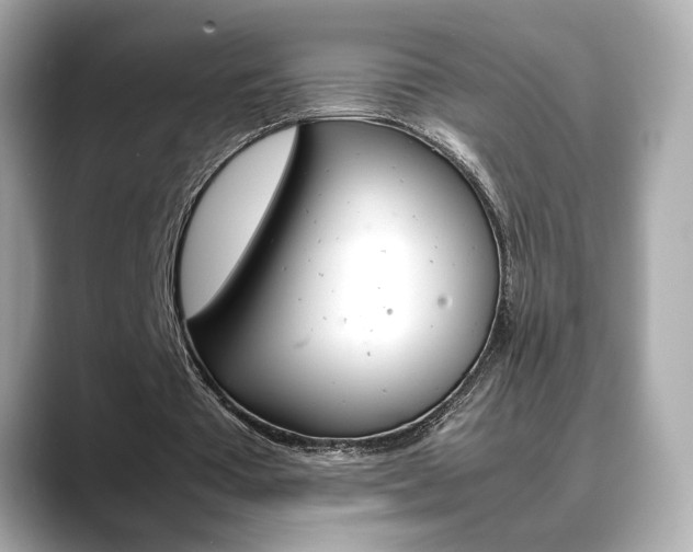 X0000088700385200705311020