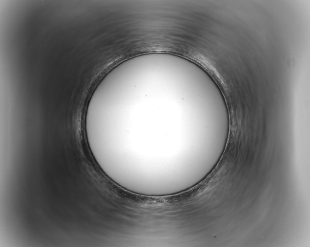 X0000088700386200705311020