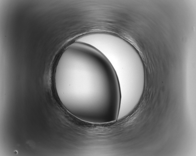 X0000088700387200705311020