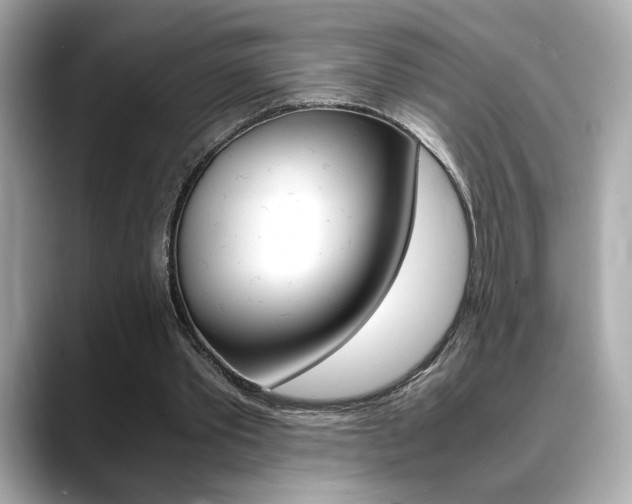 X0000088700389200705311020