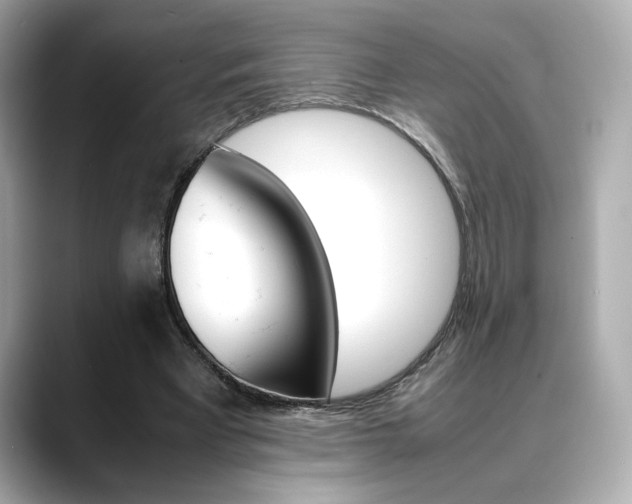 X0000088700393200705311020
