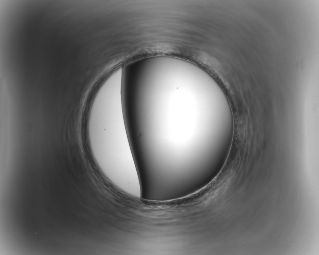 X0000088700395200705311020