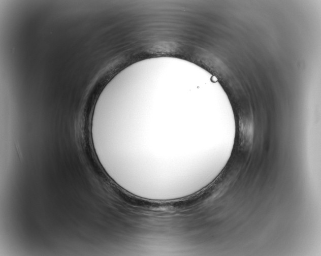 X0000088700396200705311020