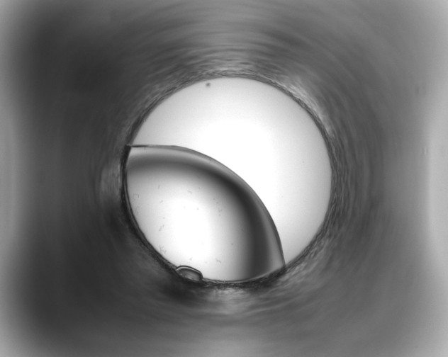 X0000088700397200705311020