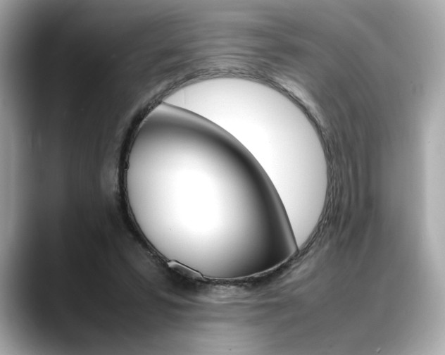 X0000088700399200705311020