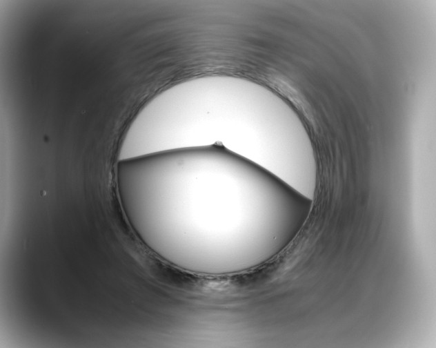 X0000088700401200705311020