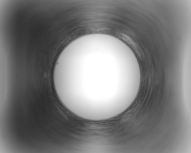X0000088700405200705311020