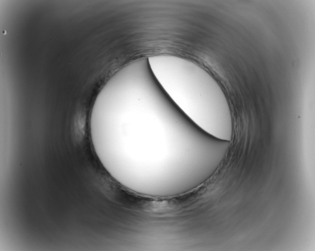 X0000088700406200705311020