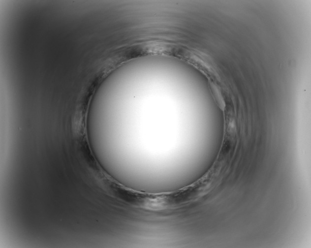 X0000088700411200705311020