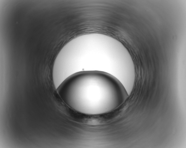 X0000088700412200705311020