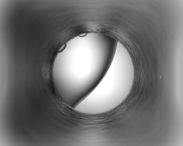 X0000088700413200705311020