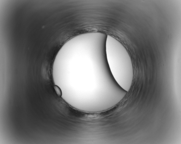 X0000088700414200705311020