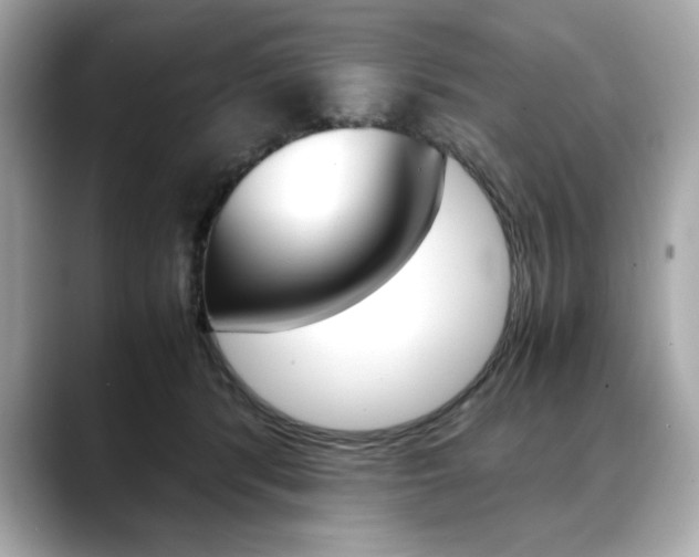 X0000088700416200705311019