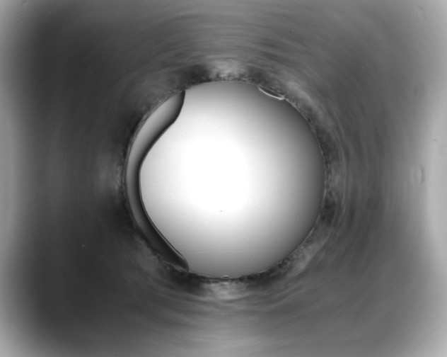 X0000088700417200705311019