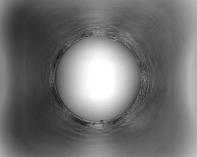 X0000088700419200705311019