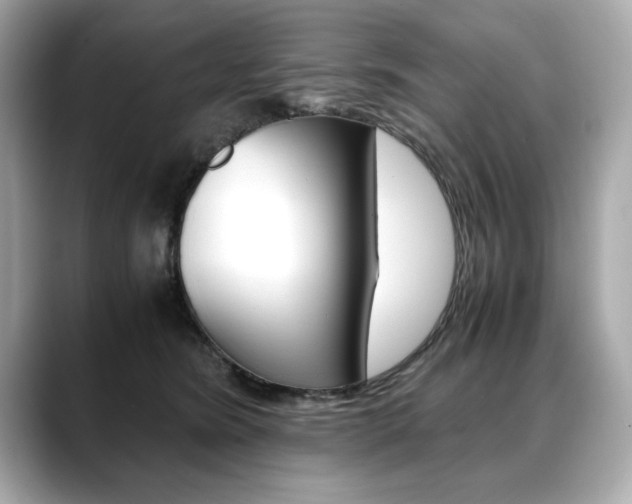 X0000088700420200705311019
