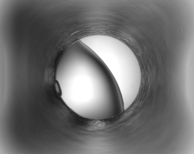 X0000088700421200705311019