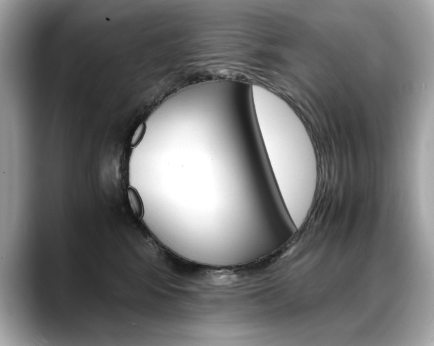 X0000088700424200705311019