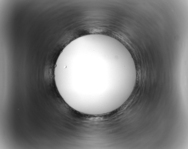 X0000088700426200705311019