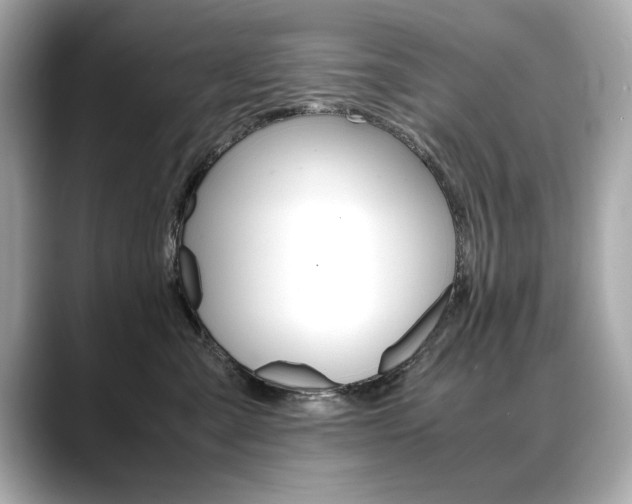 X0000088700427200705311019