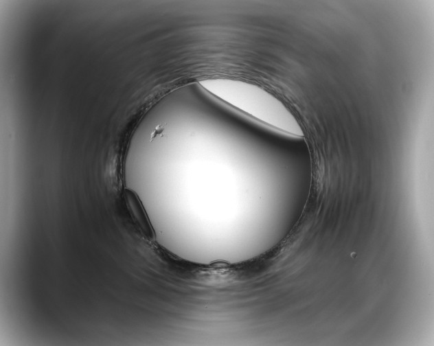 X0000088700428200705311019