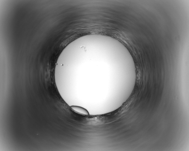 X0000088700430200705311019