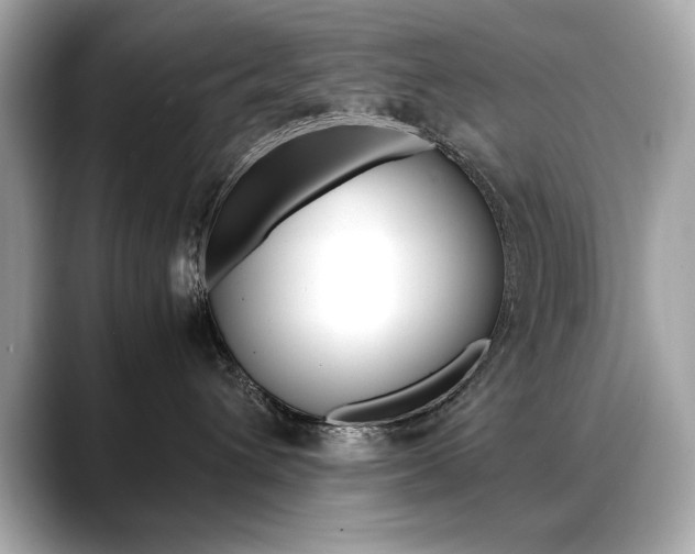 X0000088700432200705311019