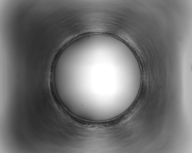 X0000088700434200705311019