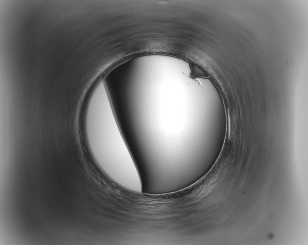 X0000088700435200705311019