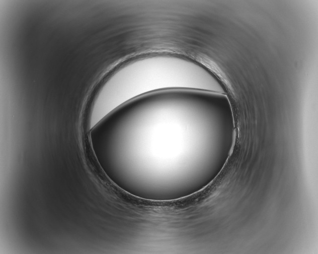 X0000088700436200705311019