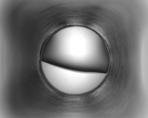 X0000088700437200705311019
