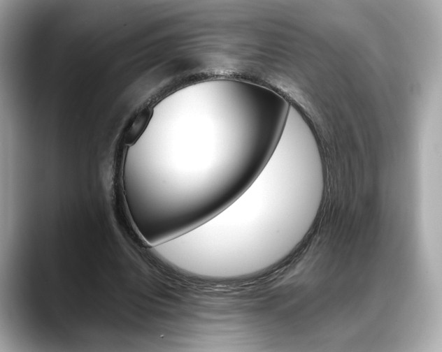 X0000088700440200705311019